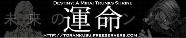Destiny: A Mirai Trunks Shrine